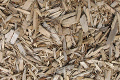 biomass boilers Piddinghoe