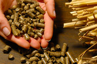 free Piddinghoe biomass boiler quotes